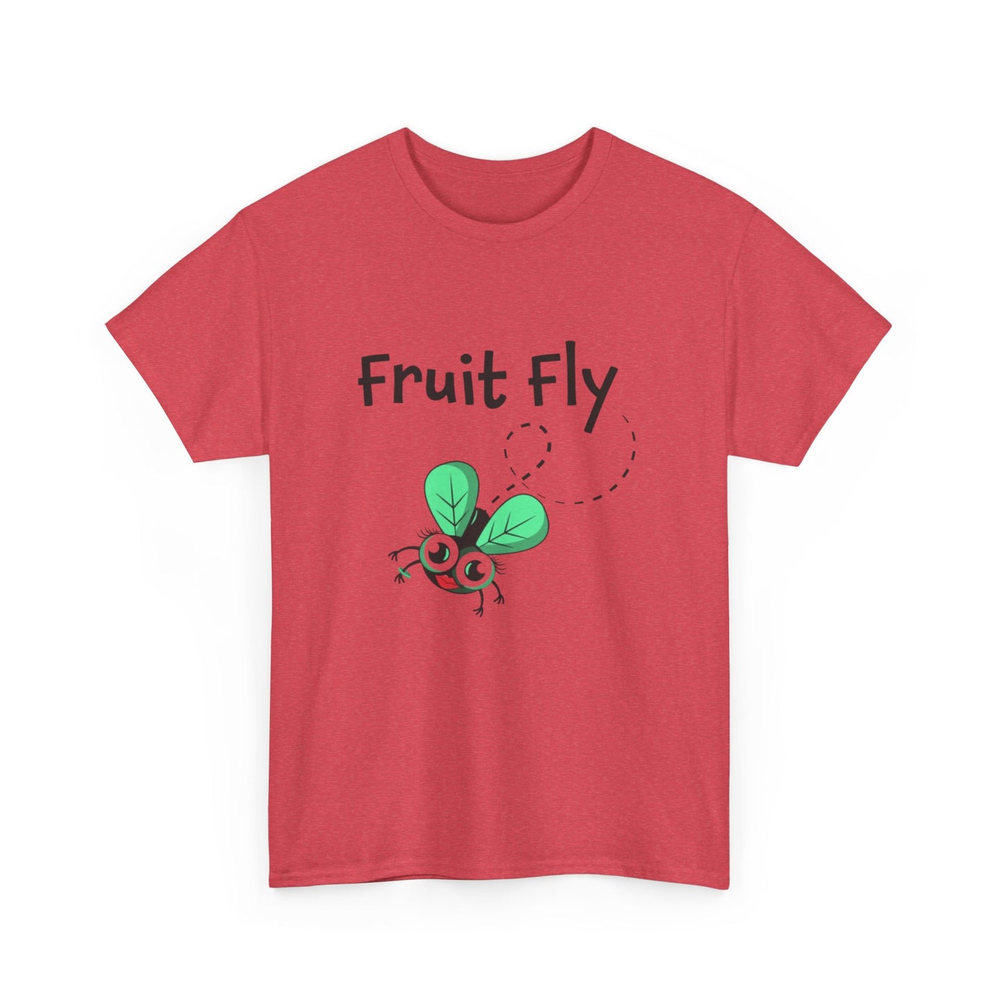 Fruit Fly LGBTQ Ally Sweatshirt – Funny Pride Pullover for Women Who Love Hanging Out with Gay Guys – Supportive Bestie Gift & Queer Culture Apparel