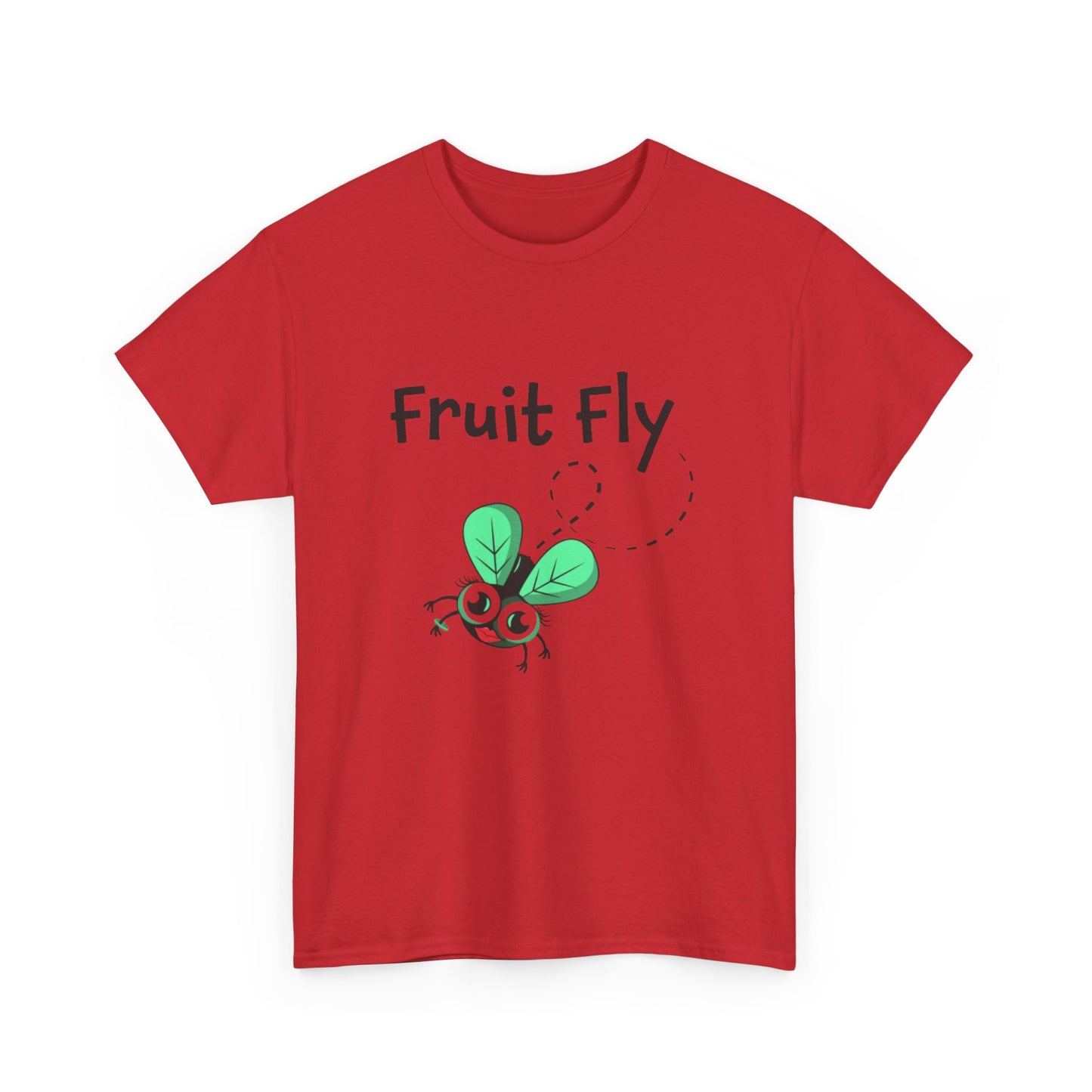 Fruit Fly LGBTQ Ally Sweatshirt – Funny Pride Pullover for Women Who Love Hanging Out with Gay Guys – Supportive Bestie Gift & Queer Culture Apparel