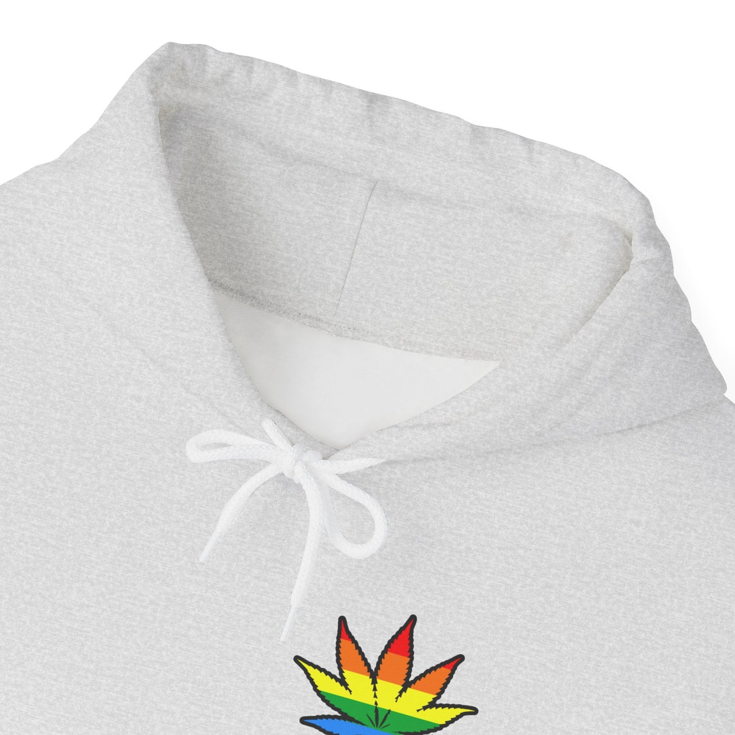 Rainbow Leaf Hoodie, Cozy Unisex Sweatshirt, LGBTQ+ Pride Apparel, Casual Streetwear, Gift for Friends, Everyday Comfort