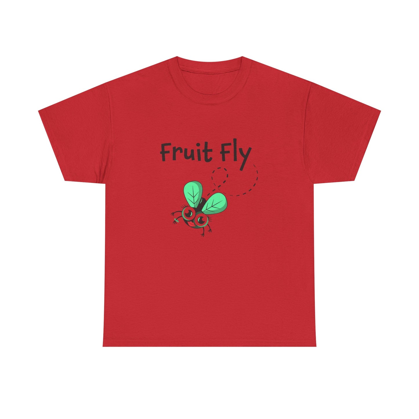Fruit Fly LGBTQ Ally Sweatshirt – Funny Pride Pullover for Women Who Love Hanging Out with Gay Guys – Supportive Bestie Gift & Queer Culture Apparel