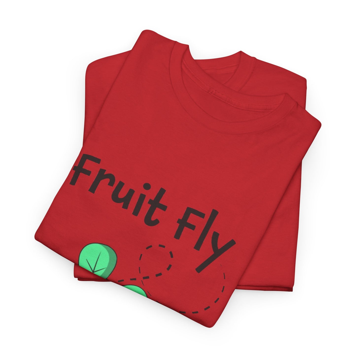 Fruit Fly LGBTQ Ally Sweatshirt – Funny Pride Pullover for Women Who Love Hanging Out with Gay Guys – Supportive Bestie Gift & Queer Culture Apparel